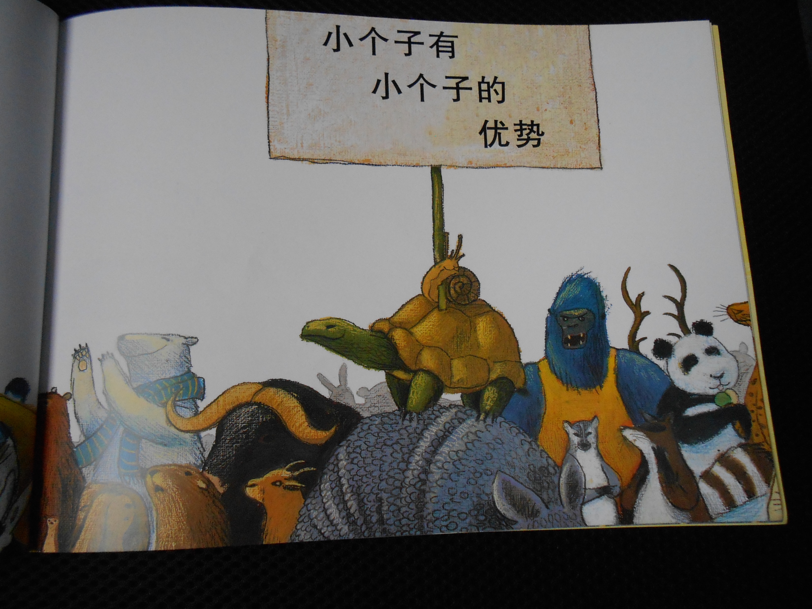 小个也能打篮球 (10),绘本,绘本故事,绘本阅读,故事书,童书,图画书,课外阅读